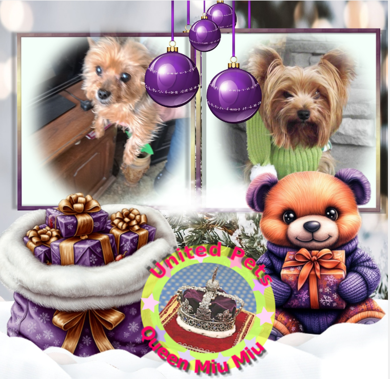 Chance of the Chance family