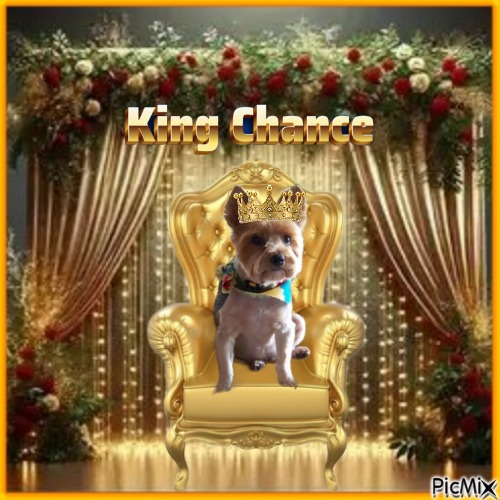 Chance of the Chance family