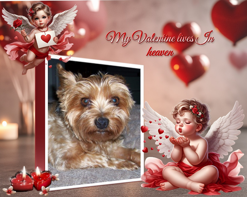 Chance of the Chance family