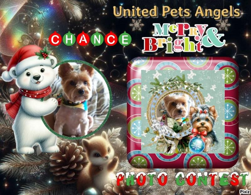 Chance of the Chance family