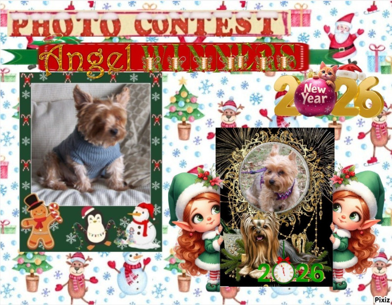 Chance of the Chance family