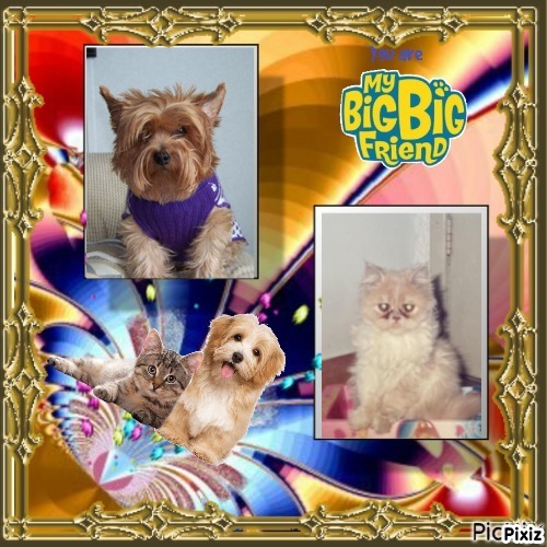 Chance of the Chance family