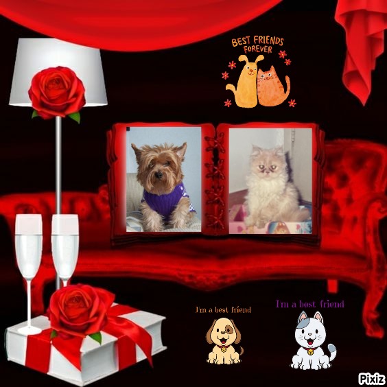 Chance of the Chance family