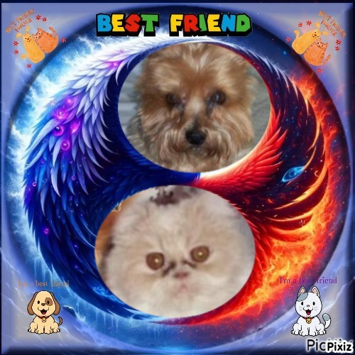 Chance uploaded   91  day/s  ago