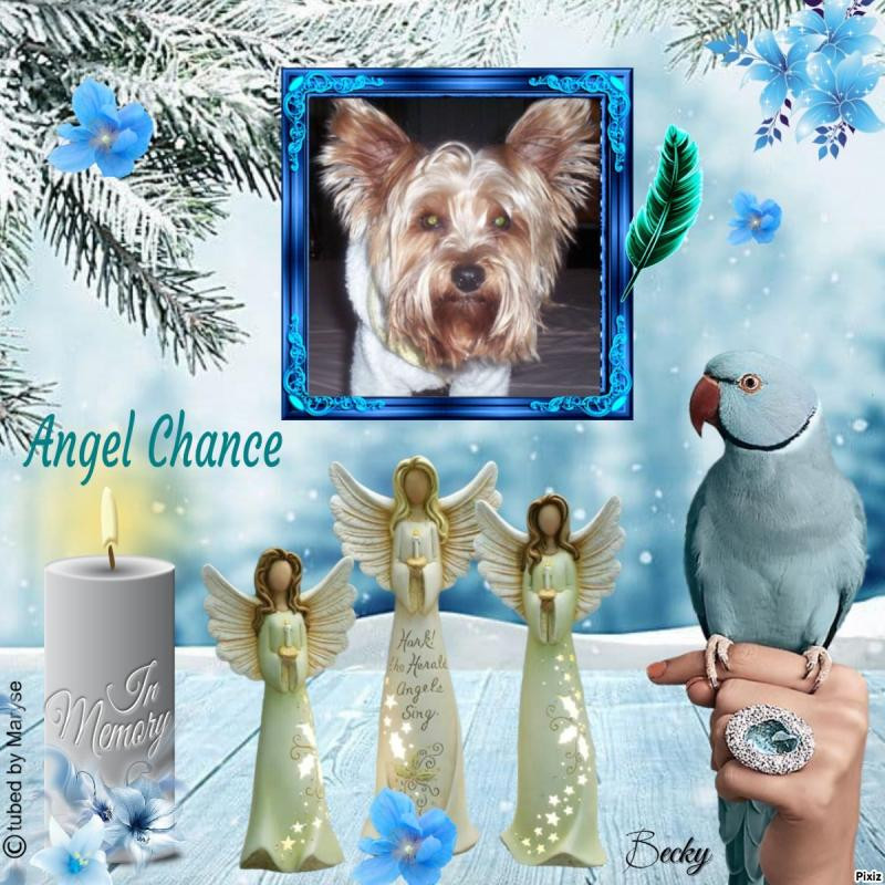 Chance of the Chance family