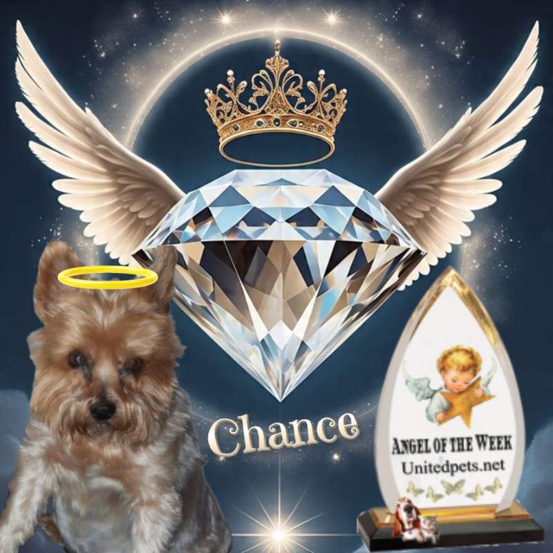 Chance uploaded   7  day/s  ago