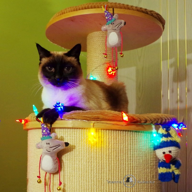 Cineczka21 uploaded   6 year/s ago