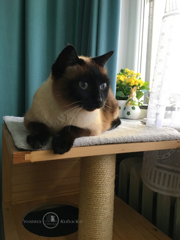 Cineczka21 uploaded   5 year/s ago