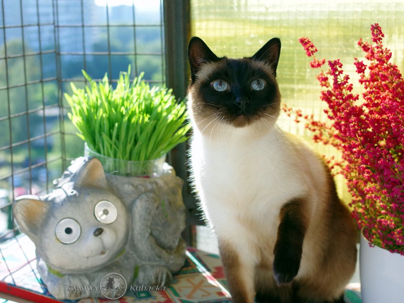 Cineczka21 uploaded   5 year/s ago