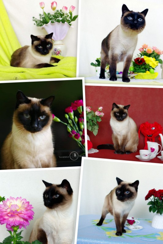 Filip of the Cineczka21 family