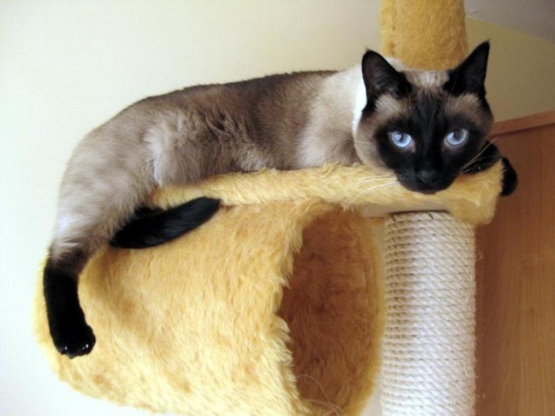 Cineczka21 uploaded   1 year/s ago