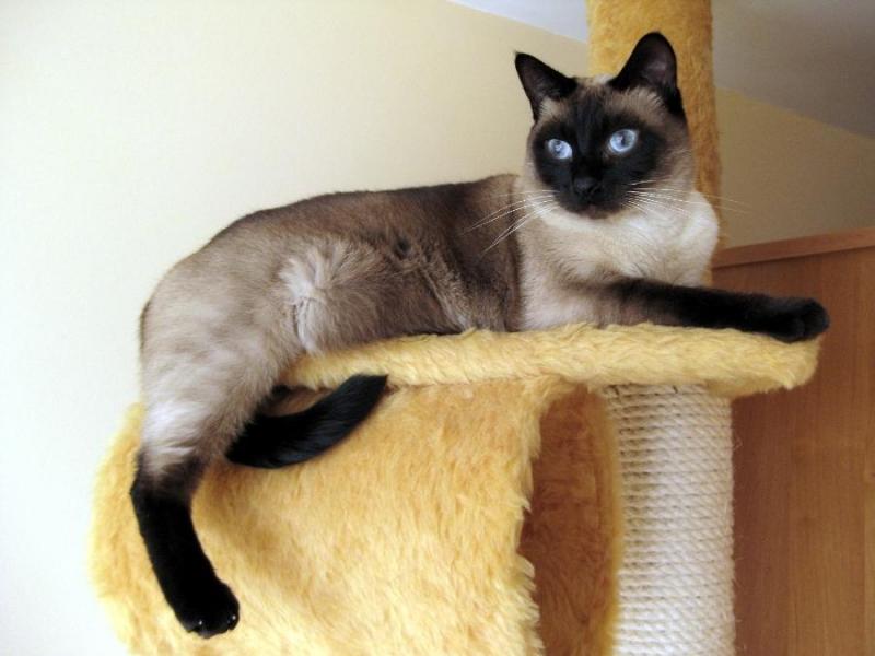 Filip of the Cineczka21 family