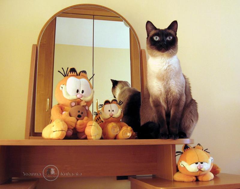 Filip of the Cineczka21 family