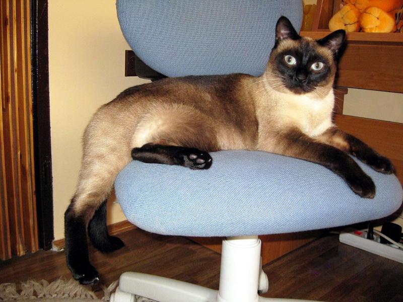 Filip of the Cineczka21 family