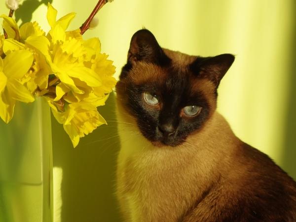 Filip of the Cineczka21 family