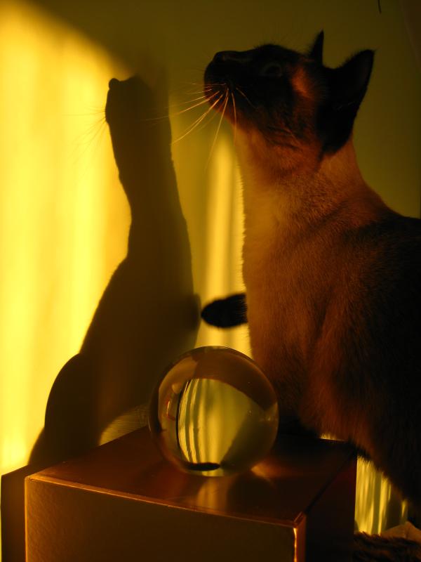 Filip of the Cineczka21 family