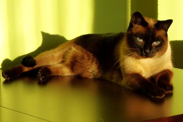 Filip of the Cineczka21 family