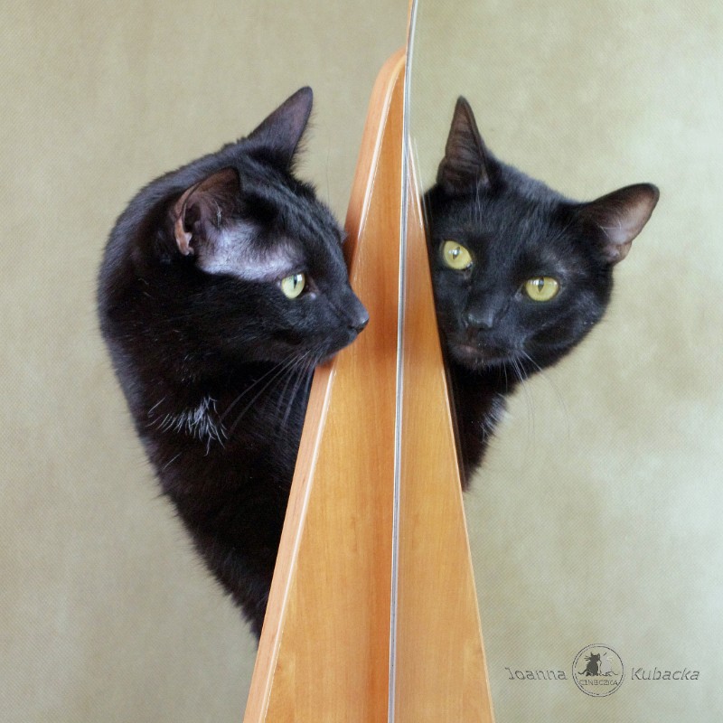 Cineczka21 uploaded   5 year/s ago