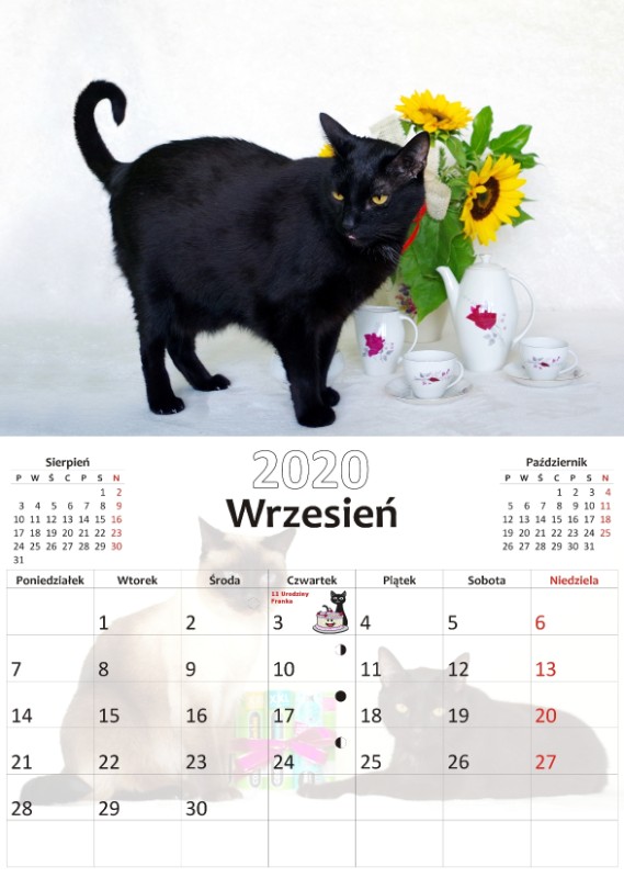 Cineczka21 uploaded   5 year/s ago
