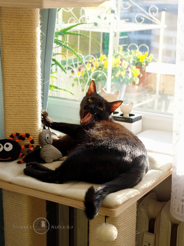 Cineczka21 uploaded   2 year/s ago