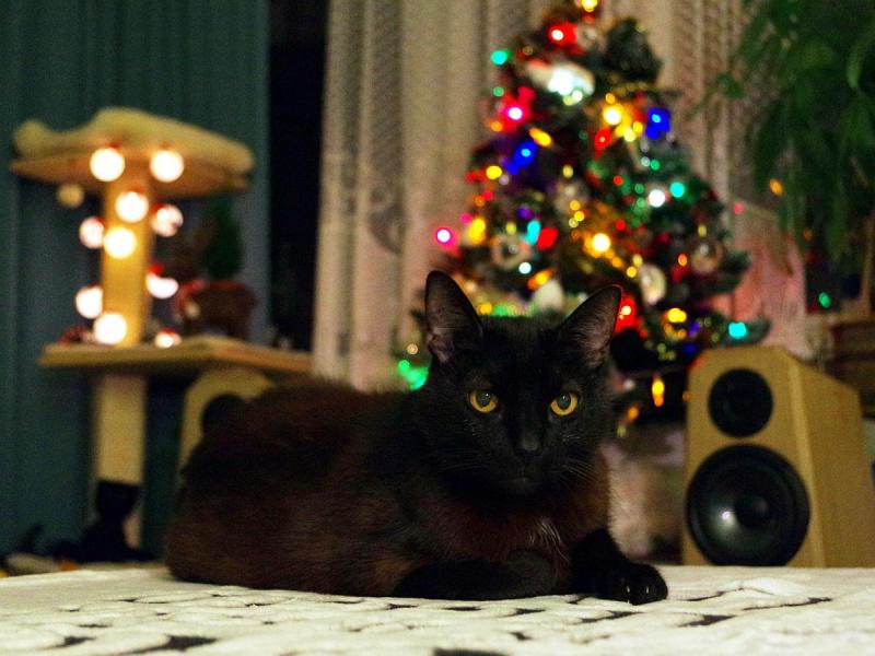 Franek of the Cineczka21 family