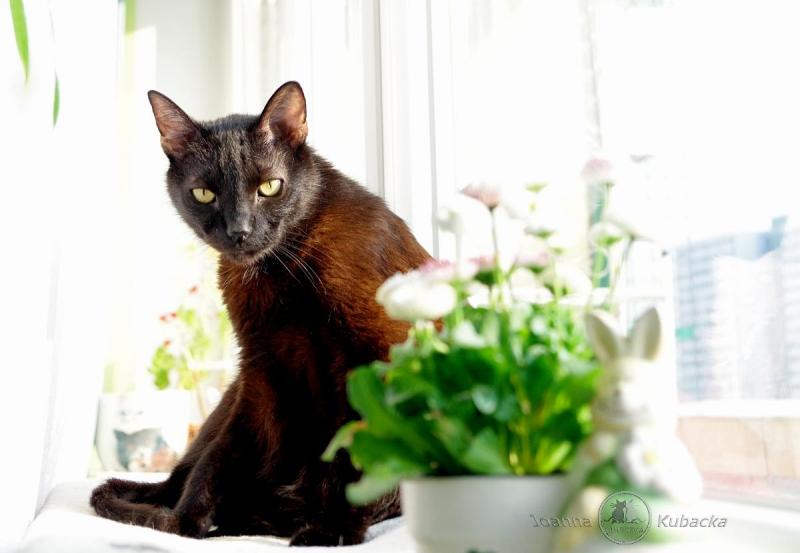 Cineczka21 uploaded   1 year/s ago