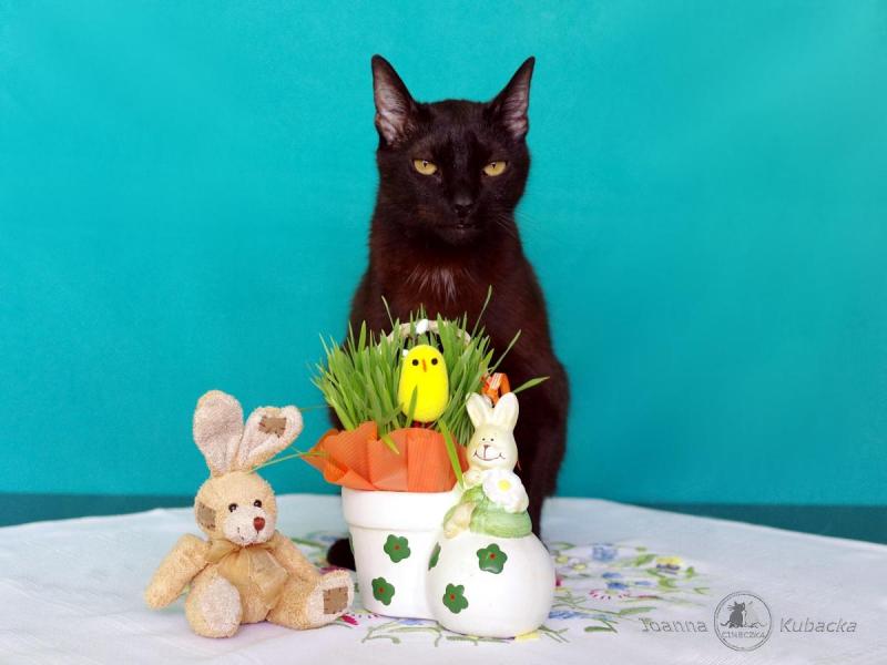 Cineczka21 uploaded   1 year/s ago