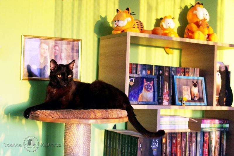 Cineczka21 uploaded   344  day/s  ago