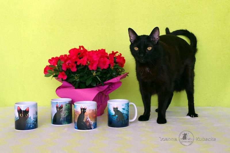 Cineczka21 uploaded   337  day/s  ago