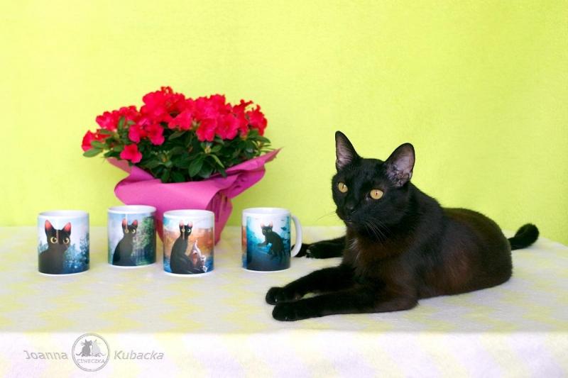 Cineczka21 uploaded   337  day/s  ago