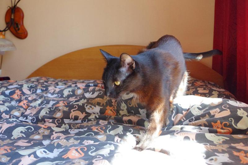 Cineczka21 uploaded   328  day/s  ago