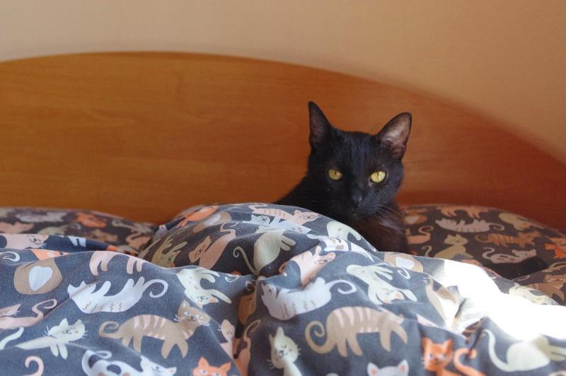 Cineczka21 uploaded   328  day/s  ago