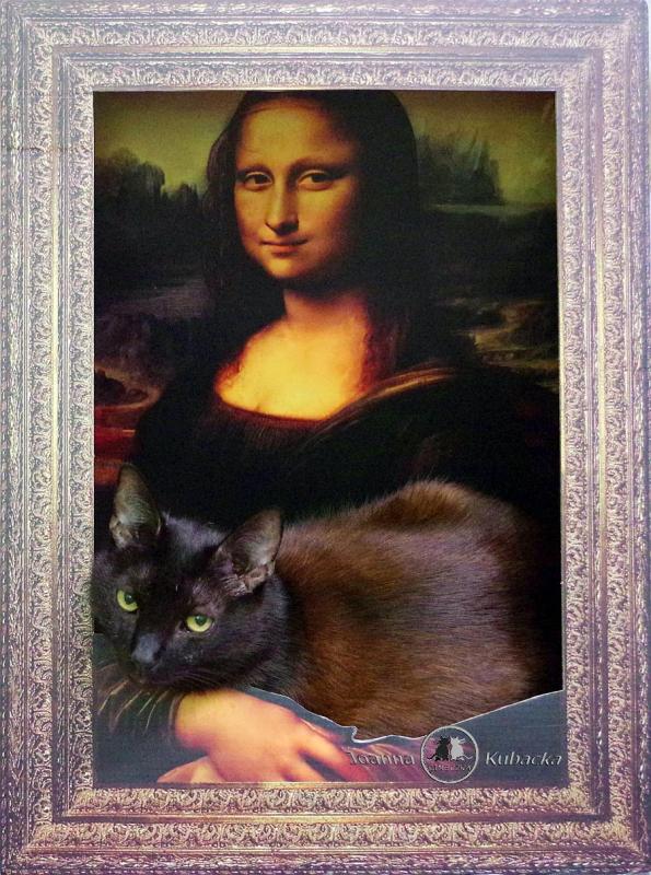 Cineczka21 uploaded   233  day/s  ago