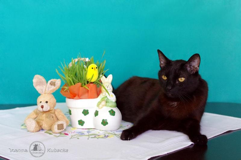 Cineczka21 uploaded   1 year/s ago