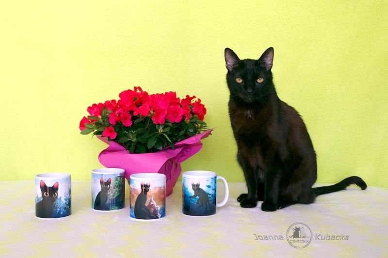 Cineczka21 uploaded   337  day/s  ago