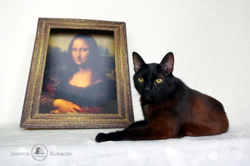 Cineczka21 uploaded   233  day/s  ago