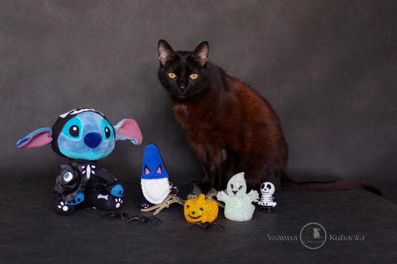 Franek of the Cineczka21 family