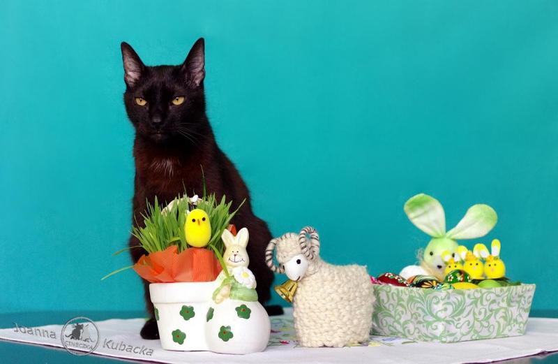 Cineczka21 uploaded   1 year/s ago