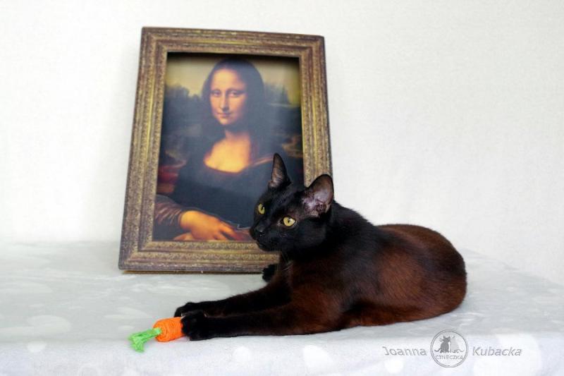 Cineczka21 uploaded   233  day/s  ago