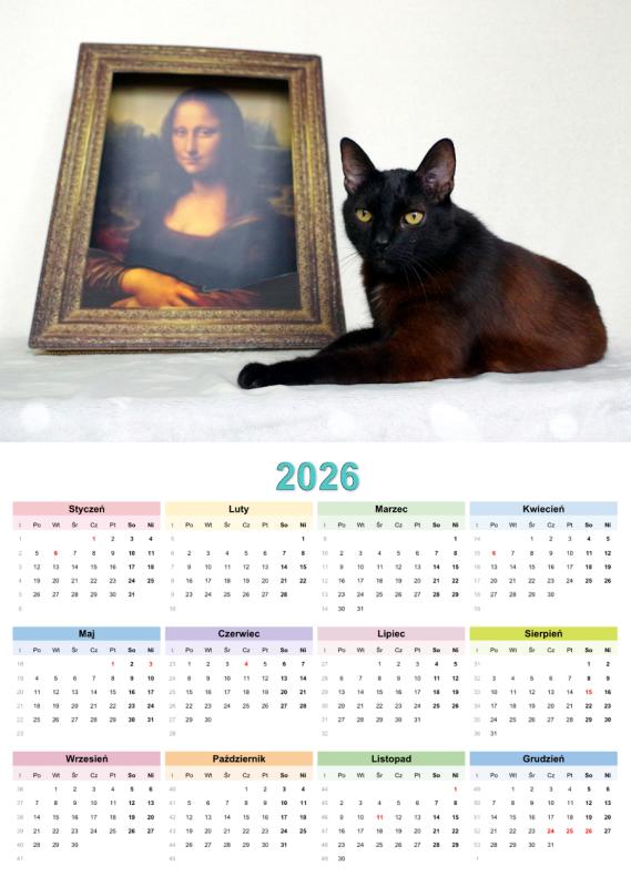 Franek of the Cineczka21 family