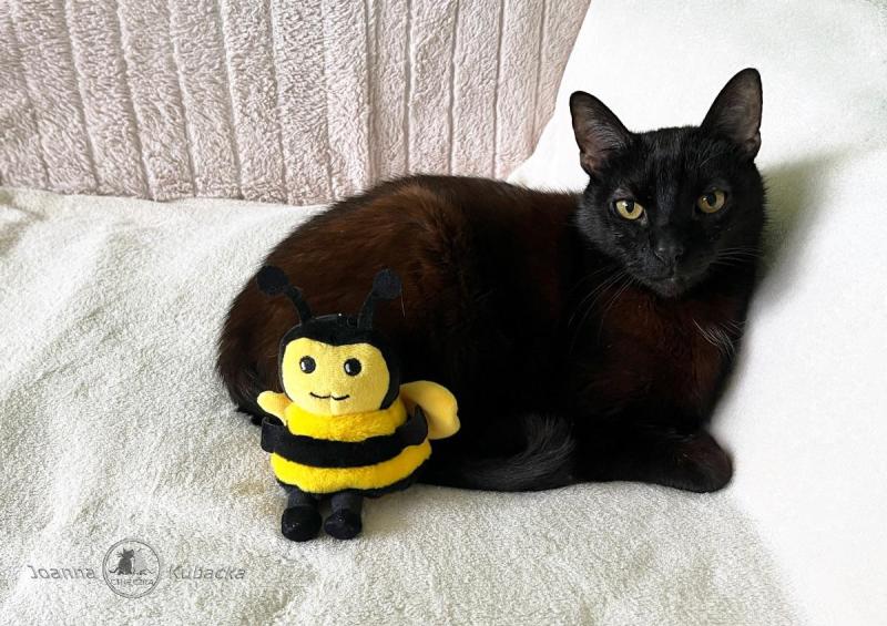 Cineczka21 uploaded   1  day/s  ago