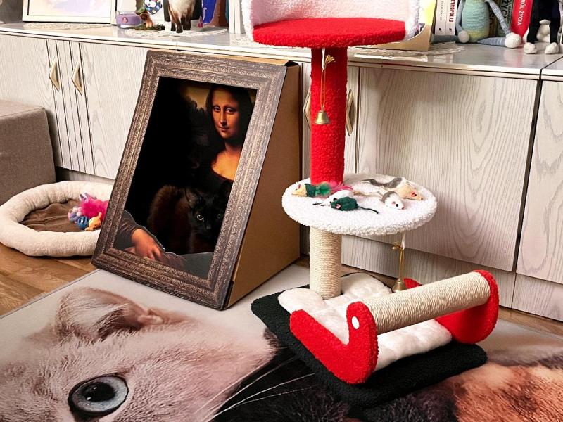 Franek of the Cineczka21 family