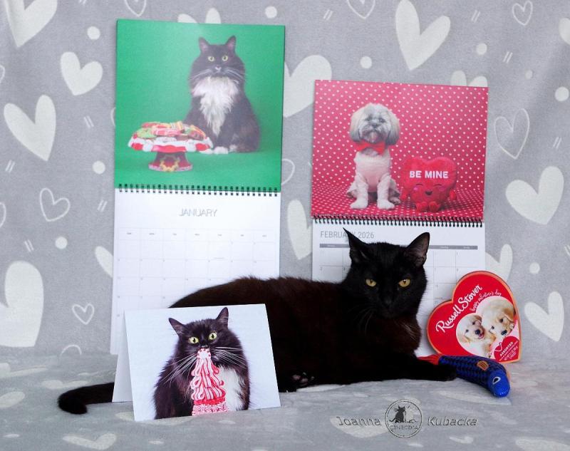 Franek of the Cineczka21 family