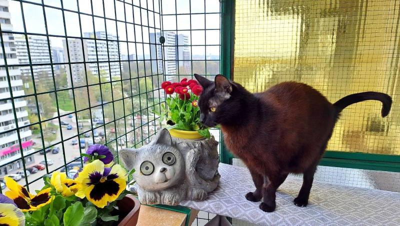 Cineczka21 uploaded   1  day/s  ago