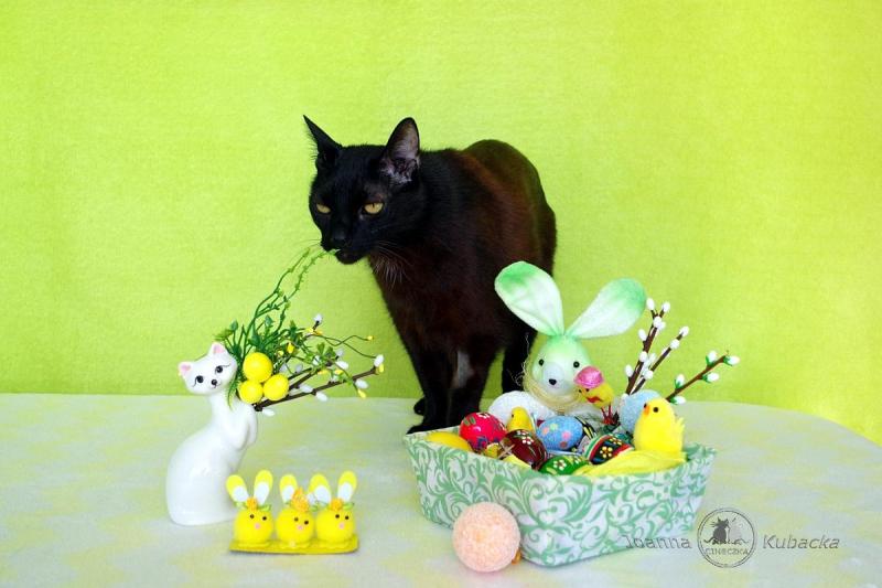 Cineczka21 uploaded   2  day/s  ago