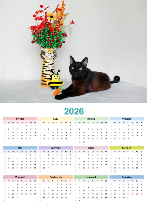 Franek of the Cineczka21 family