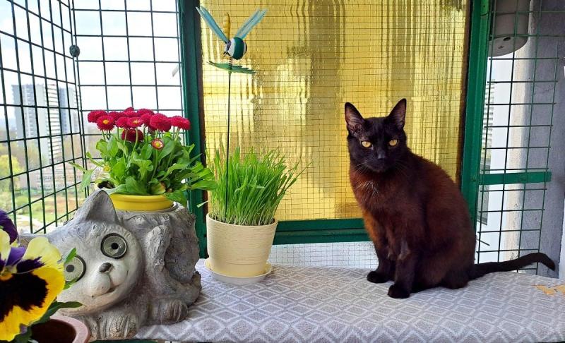 Cineczka21 uploaded   1  day/s  ago