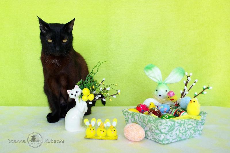 Cineczka21 uploaded   2  day/s  ago