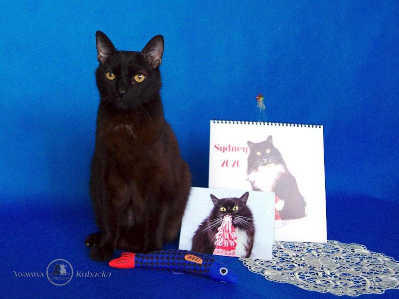 Franek of the Cineczka21 family