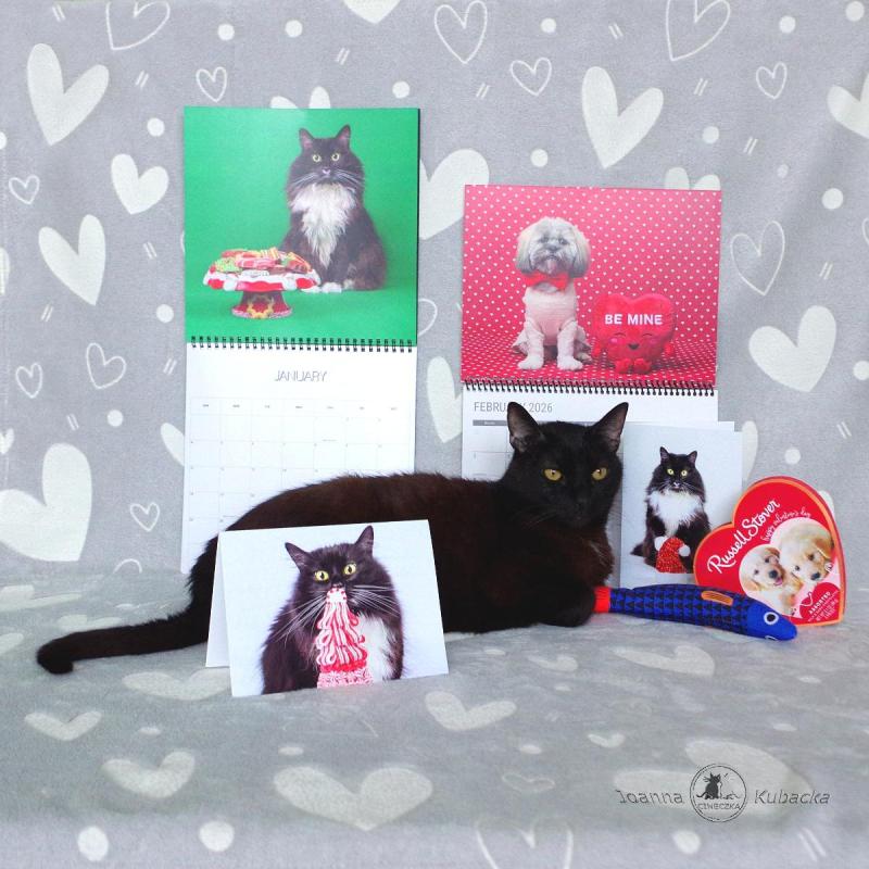 Franek of the Cineczka21 family